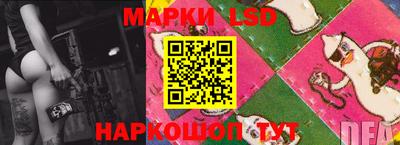мяу мяу мука Нарткала