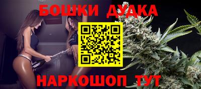 СК Новодвинск