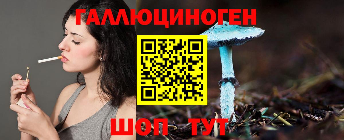 Шадринск  Псилоцибиновые грибы мухоморы  где найти наркотики  Вход с VPN 